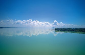 Steve Briggs | The Balaton Experience