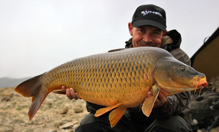 &nbsp;A stunning Buendia common.