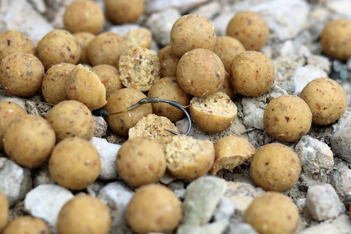 Triple-N 18mm hookbaits were responsible for each capture.