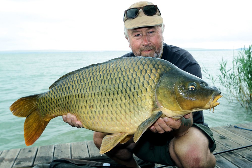 4-The-action-started-to-come-as-the-fish-found-the-bait.jpg