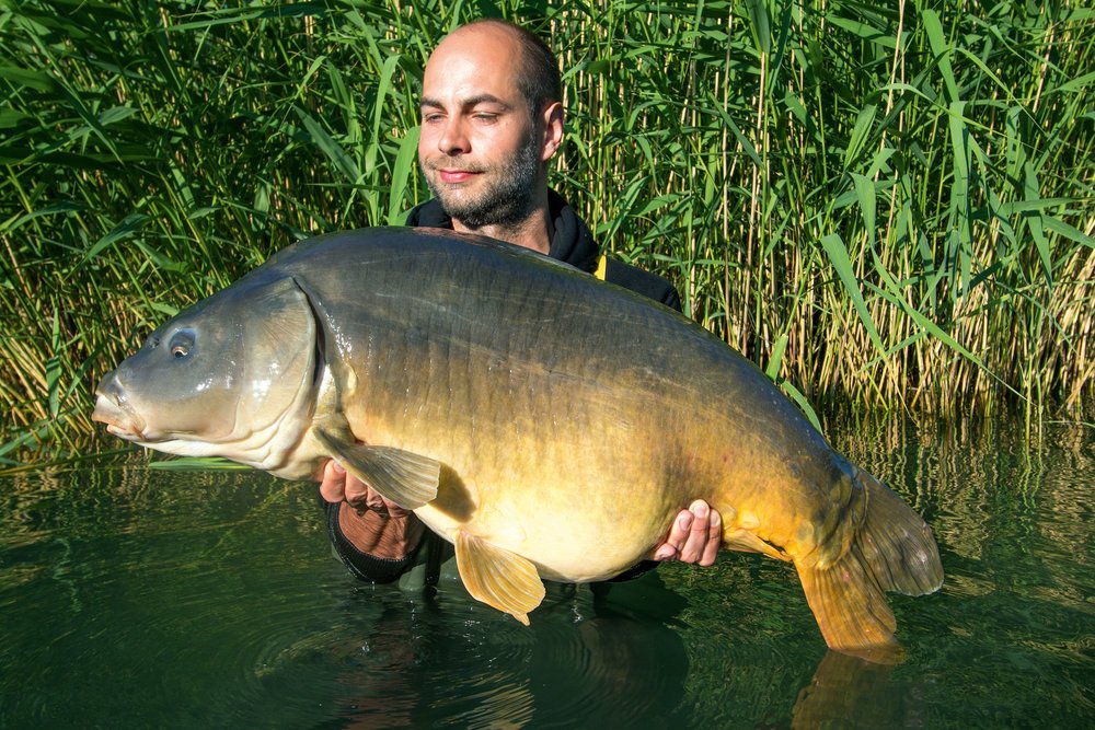 7-A-big-early-morning-mirror-for-Attila.jpg