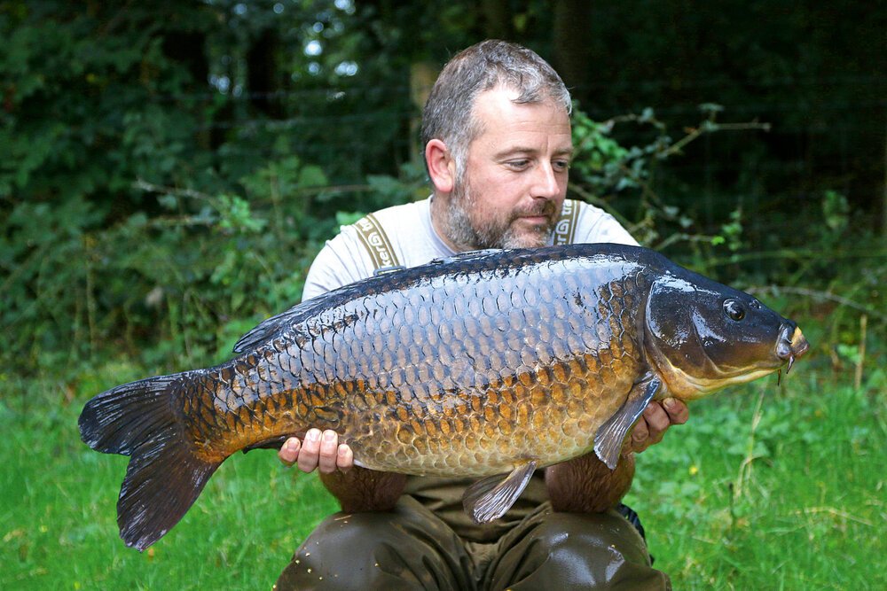 My stamp of fish remained good throughout the week