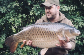 Biggest common in the lake