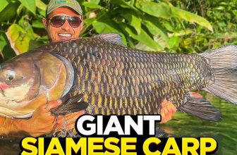 Carp Fishing At Gillham's Fishing Resort - Parker Baits