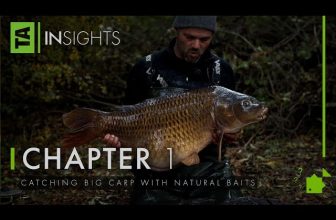 Catching Big Carp with Natural Baits