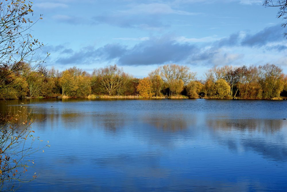 IMAGE 2 - Mallard Lake.jpg