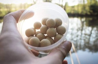 HG Baits – 16yr old Hunter Goodburne has big ambitions