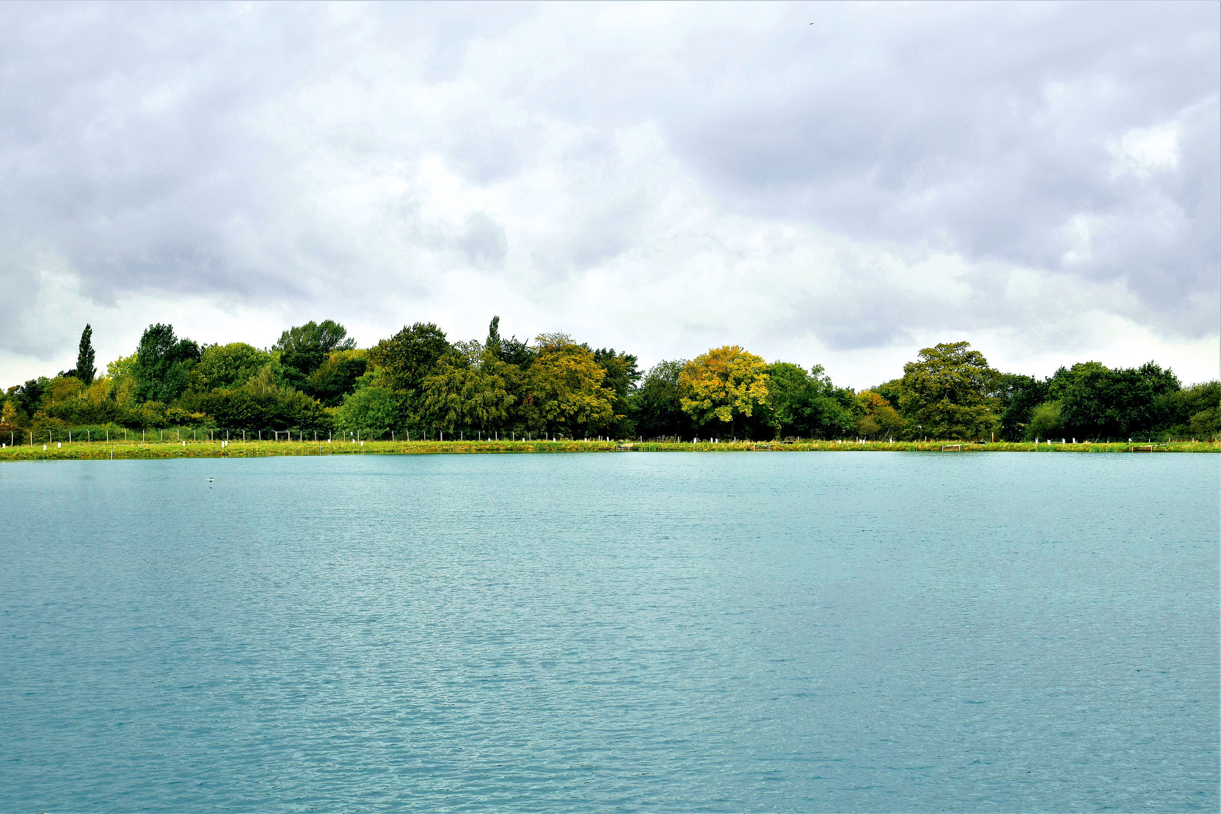 Image-1---Oak-Lake.jpg