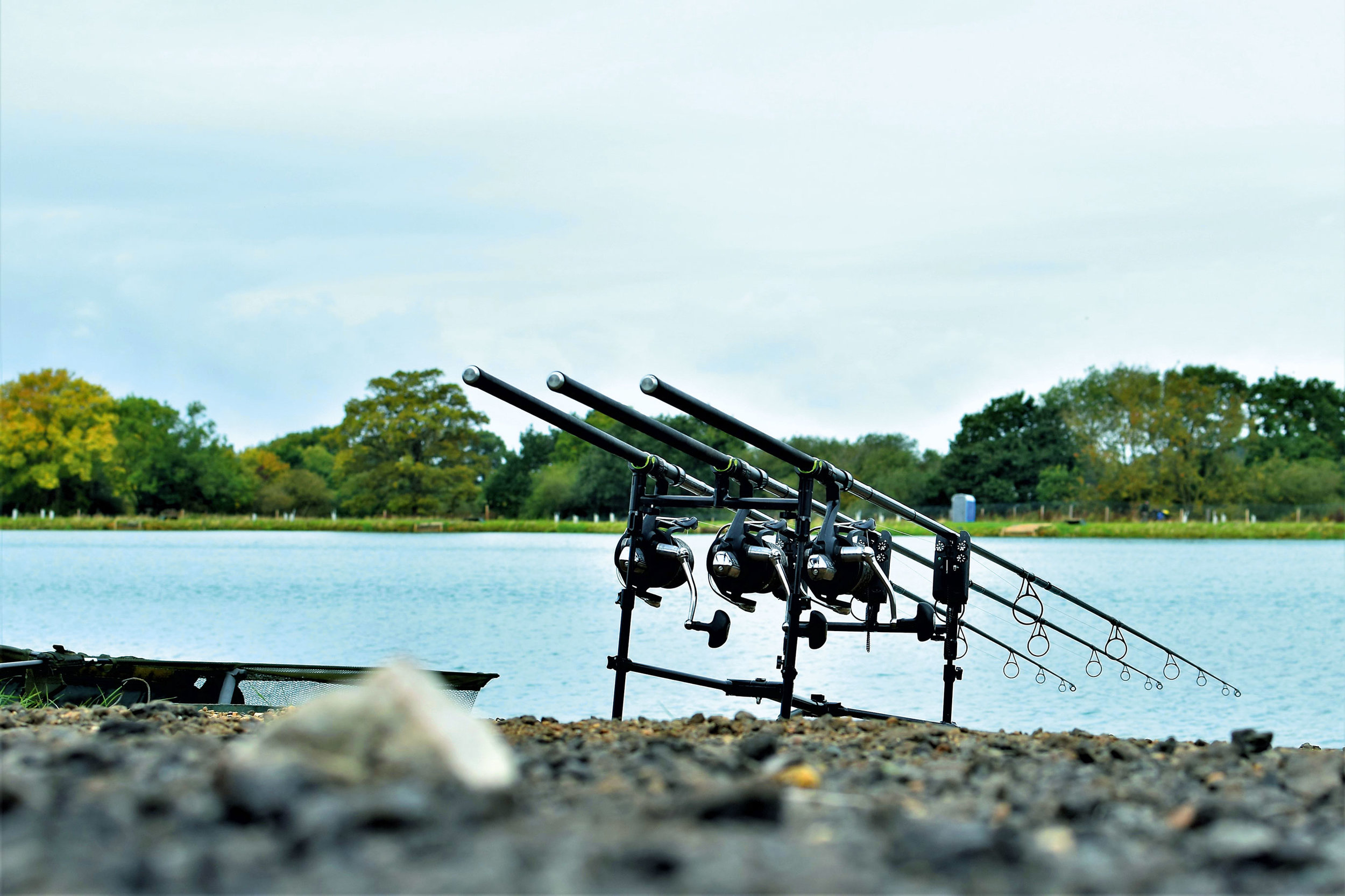 Image-8---Rods.jpg