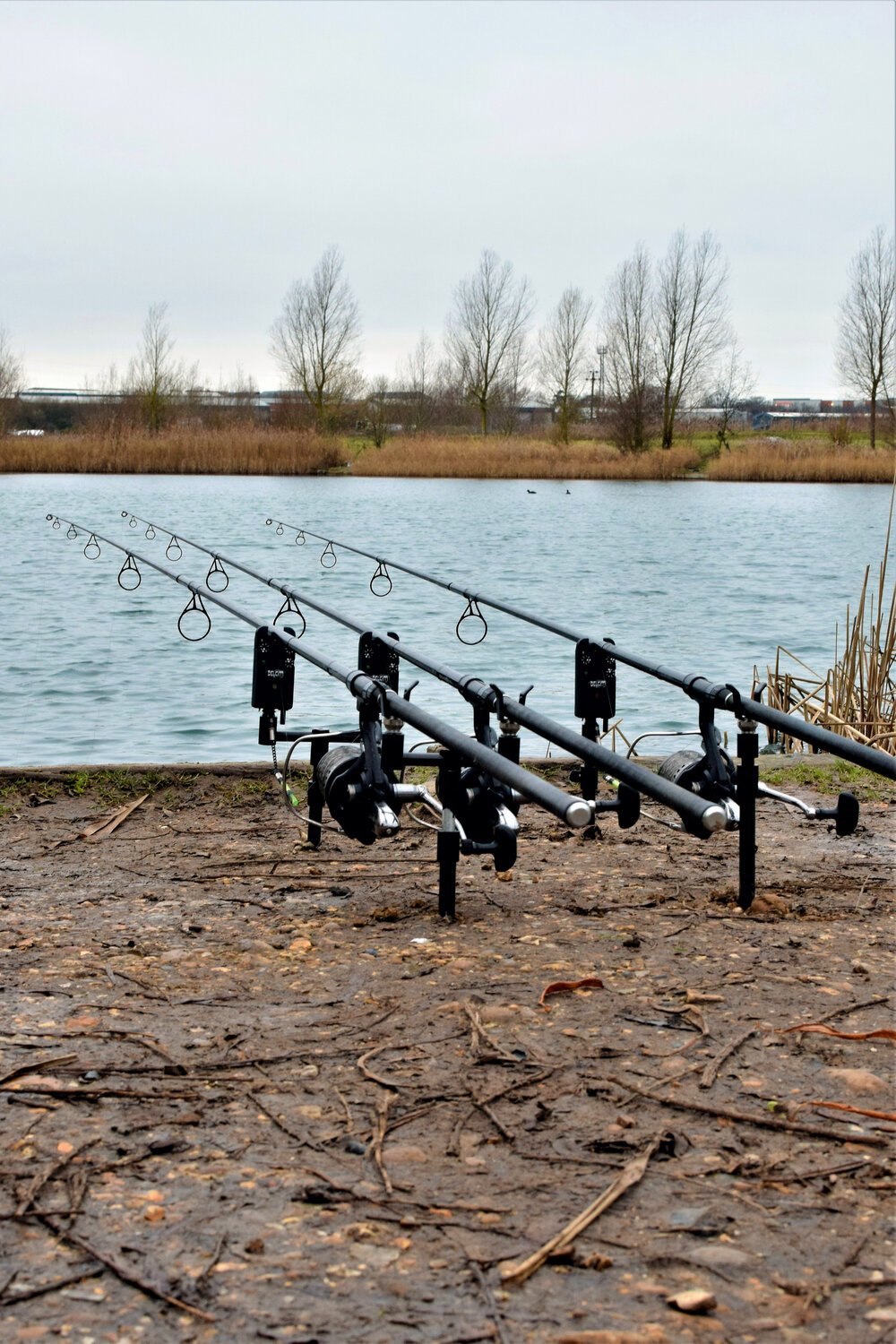 The rods went out perfectly – I may have had a little inside info on the swim from a good friend