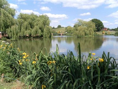 Main Lake - Hawkhurst Farm