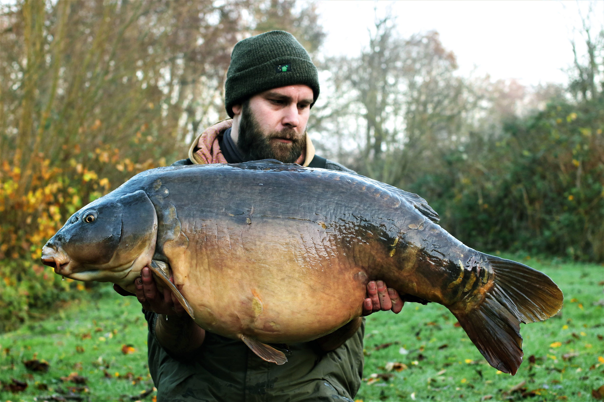The biggest fish in the lake, The Scarred Mirror, fully replenished and weighing a huge 54lb 8oz. It was a new PB for him