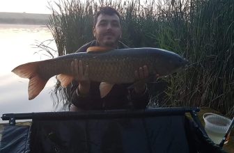 My First Big Carp – Vincent Renard