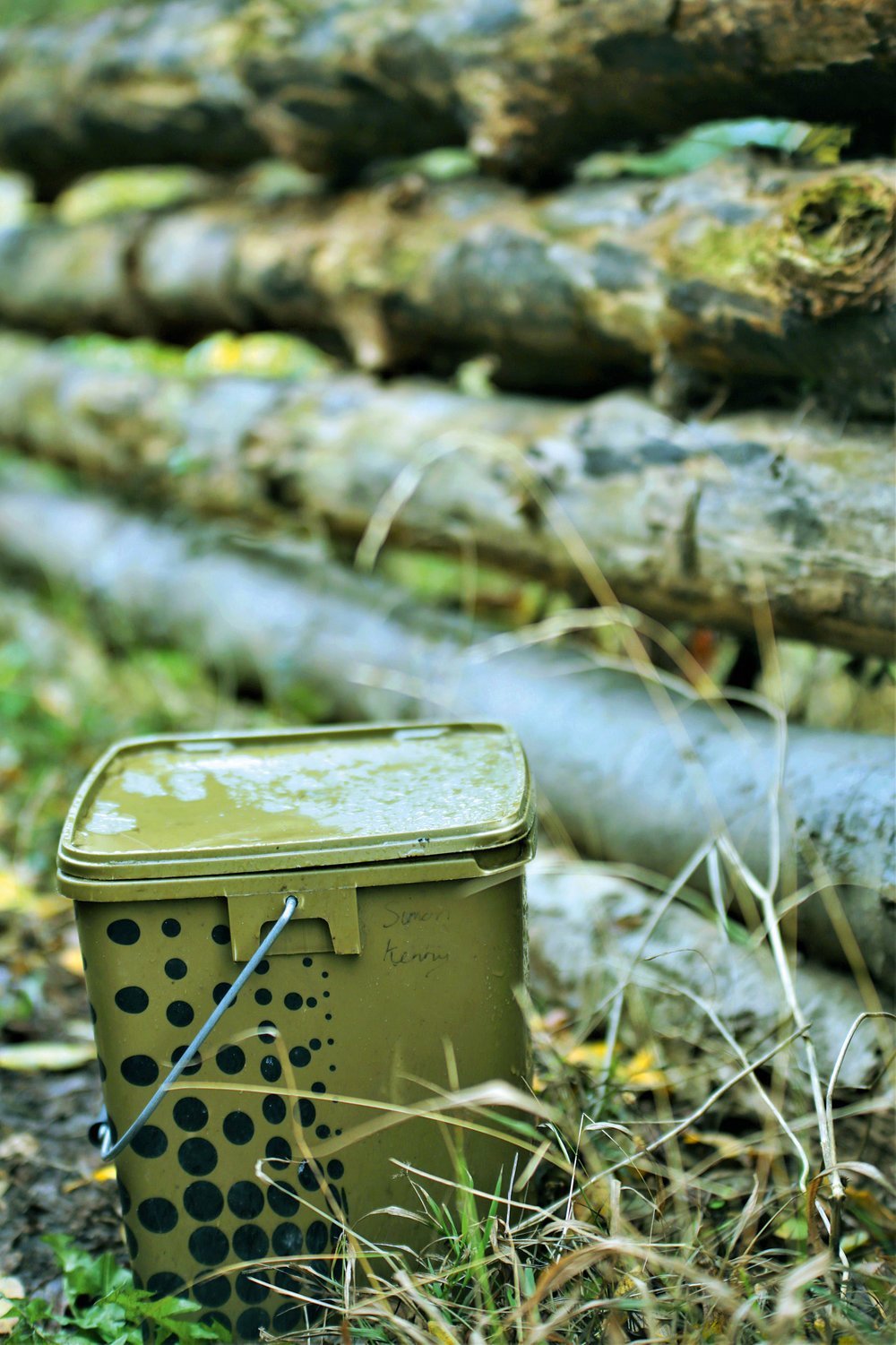 SK - IMAGE 17.jpg