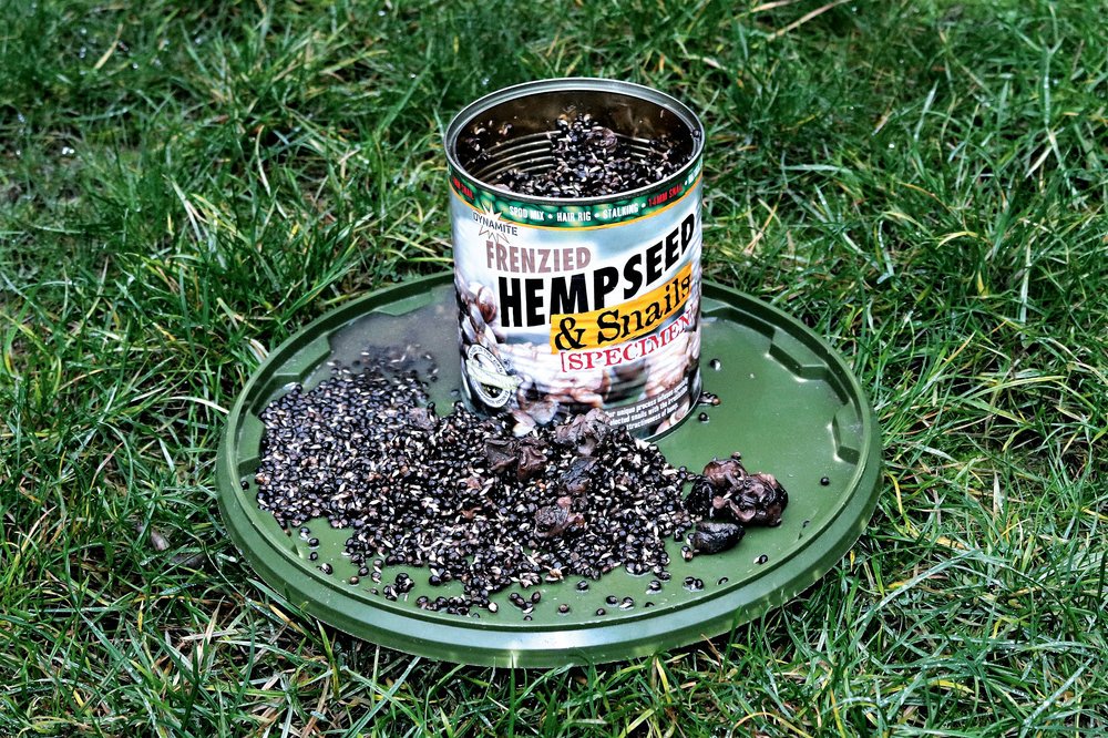 Snails are much more likely to form part of my baiting strategy this spring, than rock salt
