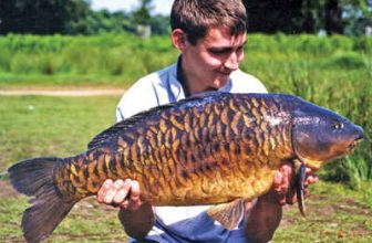 Alex West Interview