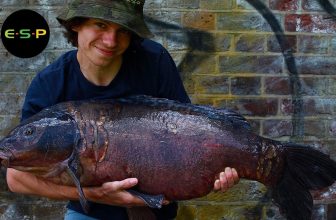Alfie Russell – Life and Carp Fishing