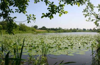 Blakemere to go syndicate