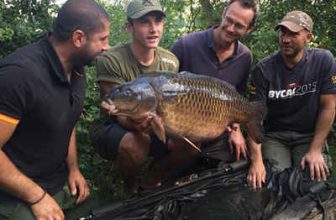 Linear Fisheries to resurrect BYCAC