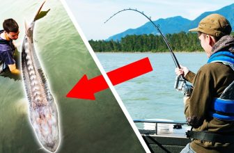 Carl & Alex’s Top 10 best Fishing Captures
