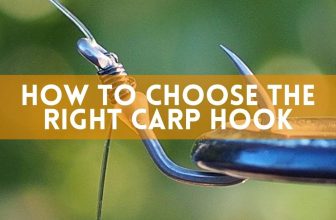 Carp fishing: How to choose the right carp hook