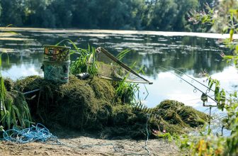 Carp Fishing in Weed – How to Combat It Like The Pro’s