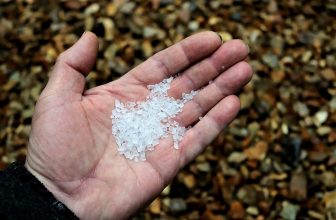 Carp Fishing & Rock Salt for a Spring Campaign