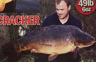 The Chertsey Fish