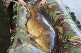Cotswold Aquarius Camo Aquarius MK2 Unhooking Mat