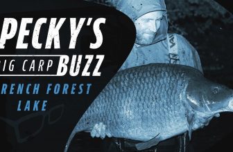 Pecky’s Big Carp Buzz | French Forest Lake