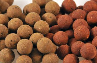 DNA Baits Shelf Life Boilies