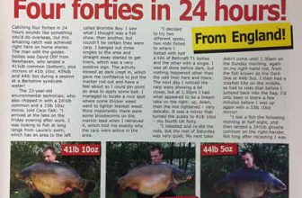 Forties frenzy