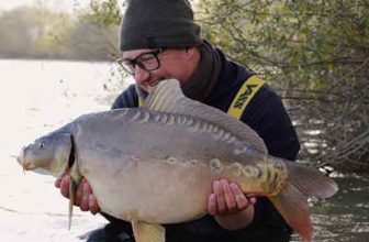 Gigantica stocking