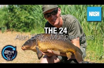Alan Blair – The 24