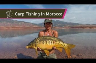 VIDEO: Carp Fishing In Morocco
