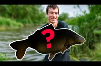 VIDEO: CARP FISHING – Quest For The Big Mirror!