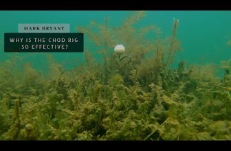 Why is the Chod Rig So Effective – Baitworks show us