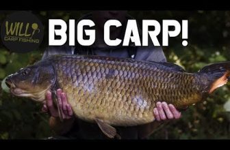 VIDEO: CARP FISHING with Scott Lloyd 2019