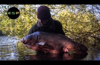 VIDEO: Terry Hearn – The Little Grey