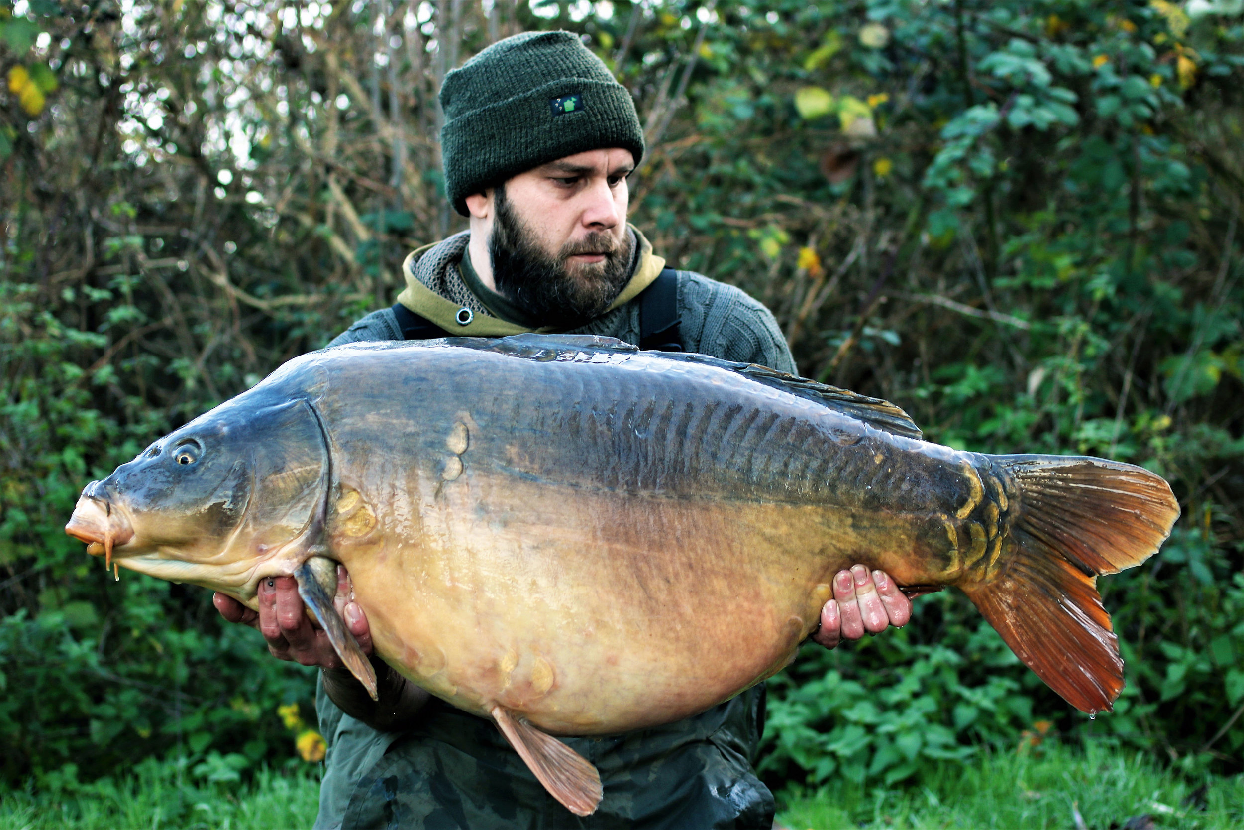 A fish known as Armageddon at a colossal 50lb 10oz