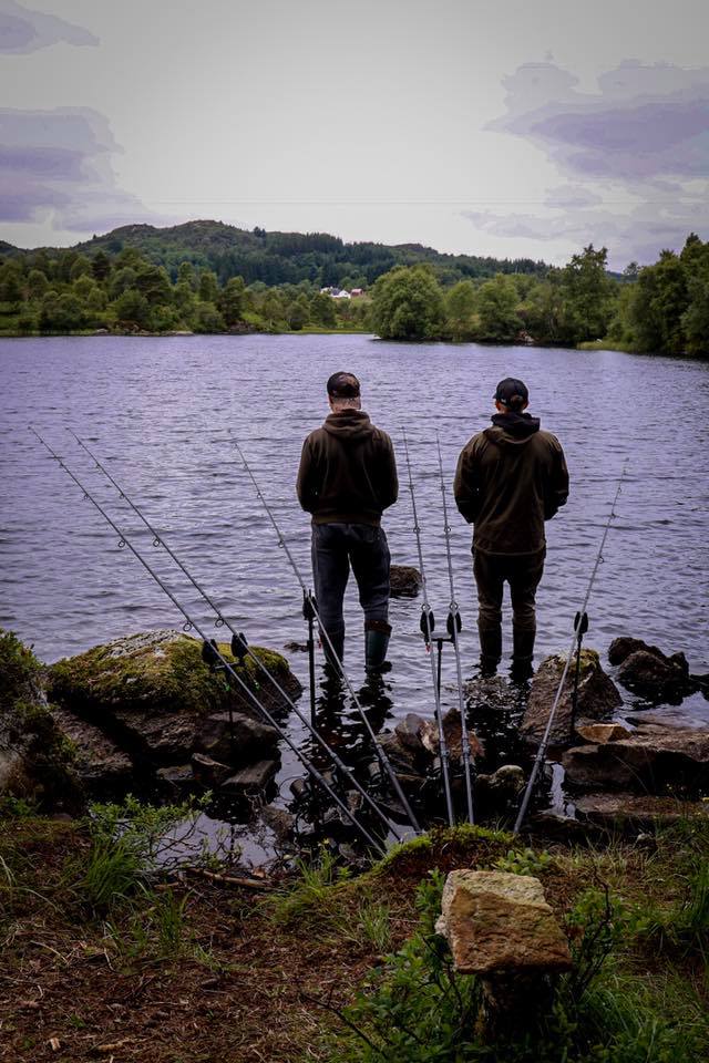 In Pursuit Of Carpiness DVD