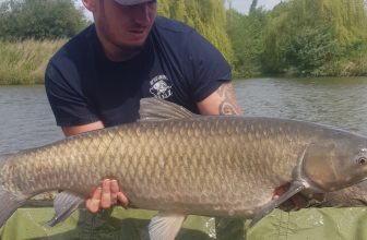 My first grass carp