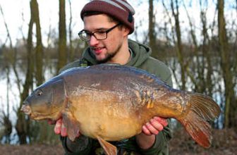 Thorpe Lea Hints | Tips & Guide