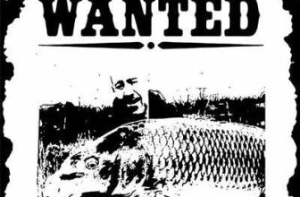 Reward for Capture of Yorkshire Forty