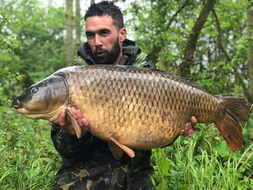 Linch Hill Common Carp