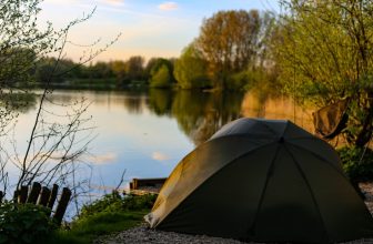 Linear Fisheries set to re-open