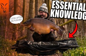 Carp Care Guide – Essential Knowledge for all Anglers