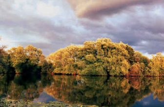 Nunnery D Lake – NS Fisheries – Hints & Tips