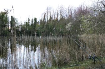 Fishing A Lincolnshire Carp Lake With Only 2 Carp In