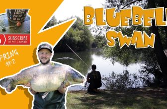 Passion For Big Carp Bluebell Swan Spring #2